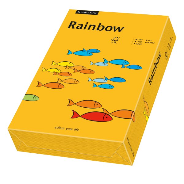 RAINBOW Papier couleur orange moyen A4 80g - 1 Palette (100000 Feuilles)