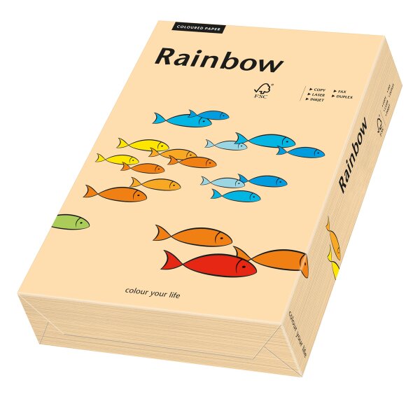 RAINBOW Papier couleur saumon A4 80g - 1 Palette (100000 Feuilles)
