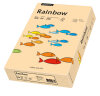 RAINBOW Farbpapier lachs A4 80g - 1 Palette (100000 Blatt)