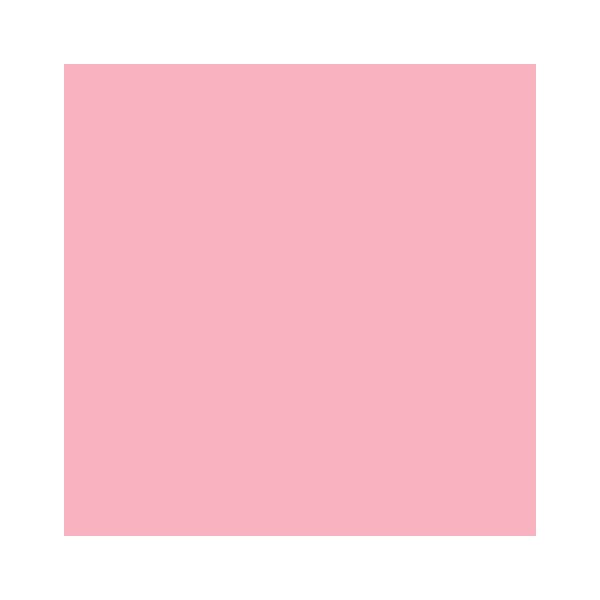 RAINBOW Farbpapier rosa A4 120g - 1 Palette (50000 Blatt)
