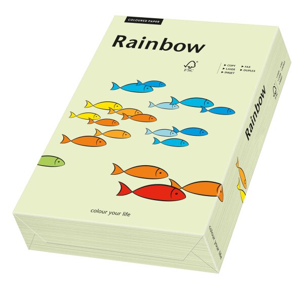 RAINBOW Papier couleur vert clair A4 120g - 1 Palette (50000 Feuilles)
