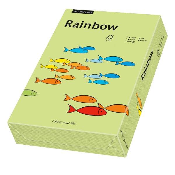 RAINBOW Papier couleur vert lumineux A4 160g - 1 Palette (50000 Feuilles)