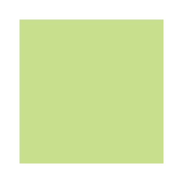 RAINBOW Papier couleur vert lumineux A4 160g - 1 Palette (50000 Feuilles)