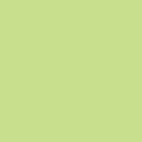 RAINBOW Papier couleur vert lumineux A4 160g - 1 Palette (50000 Feuilles)