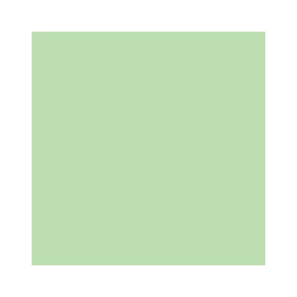 RAINBOW Papier couleur vert moyen A4 120g - 1 Palette (50000 Feuilles)