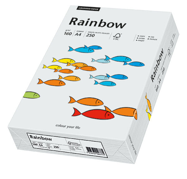 RAINBOW Farbpapier hellgrau A4 80g - 1 Palette (100000 Blatt)