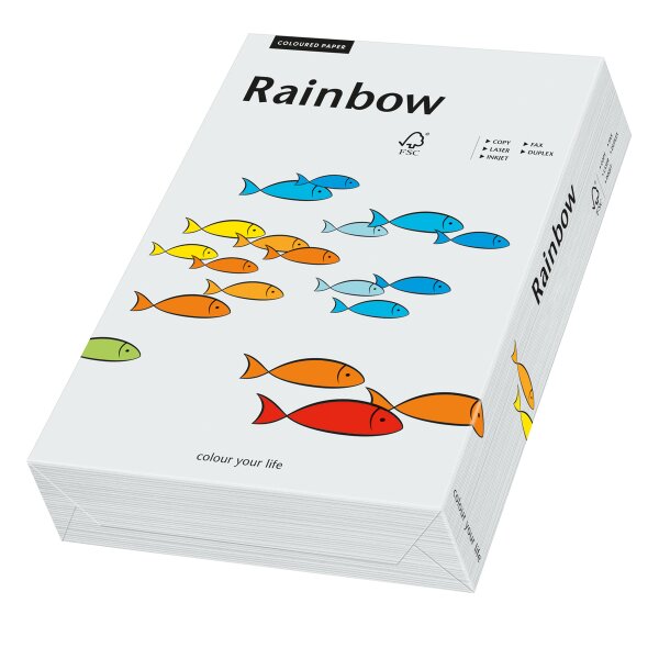 RAINBOW Farbpapier hellgrau A4 120g - 1 Palette (50000 Blatt)