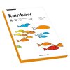 RAINBOW Farbpapier neon orange A4 80g - 1 Palette (80000 Blatt)