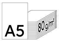 PLANO Superior Premiumpapier hochweiss A5 80g - 1 Karton (5000 Blatt)