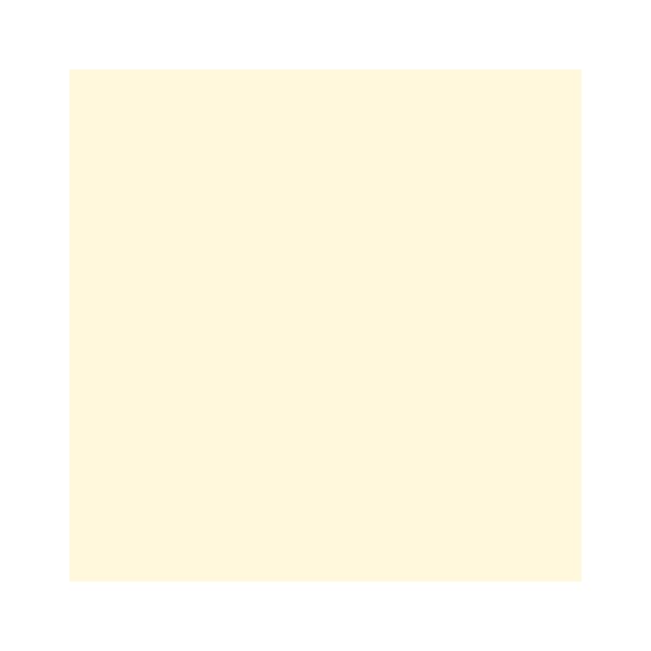 RAINBOW Farbpapier hellchamois A4 80g - 1 Karton (2500 Blatt)