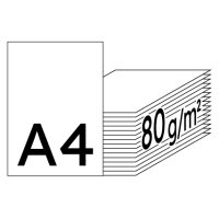 RAINBOW Farbpapier hellchamois A4 80g - 1 Karton (2500 Blatt)