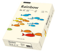 RAINBOW Farbpapier hellchamois A4 120g - 1 Karton (1250 Blatt)