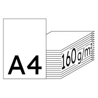 RAINBOW Farbpapier chamois A4 160g - 1 Karton (1250 Blatt)