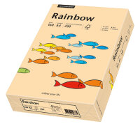 RAINBOW Farbpapier lachs A4 120g - 1 Karton (1250 Blatt)
