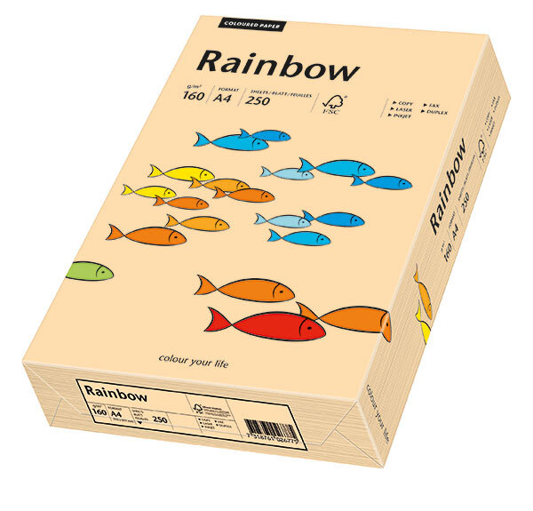 RAINBOW Farbpapier lachs A4 160g - 1 Karton (1250 Blatt)