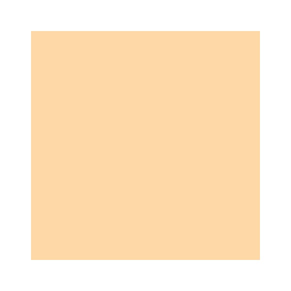 RAINBOW Papier couleur saumon A4 160g - 1 Carton (1250 Feuilles)