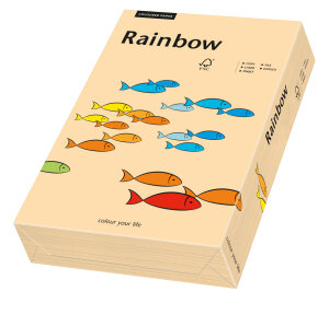 RAINBOW Papier couleur saumon A4 160g - 1 Carton (1250...