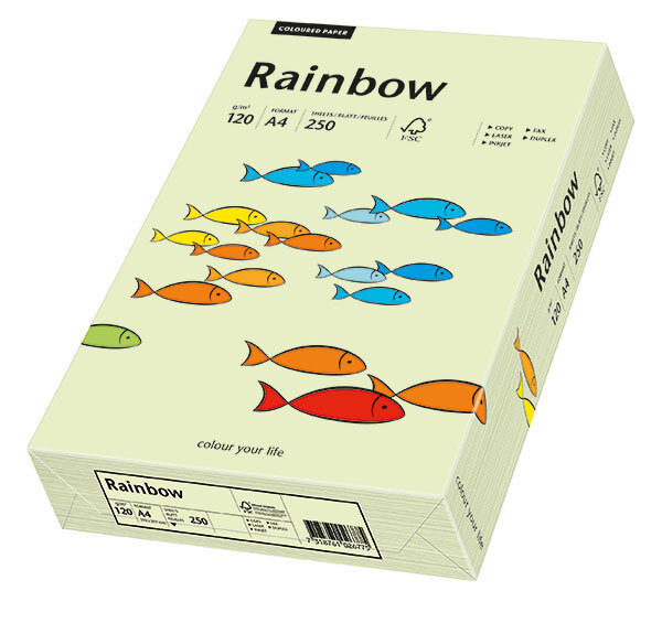 RAINBOW Farbpapier hellgrün A4 80g - 1 Karton (2500 Blatt)
