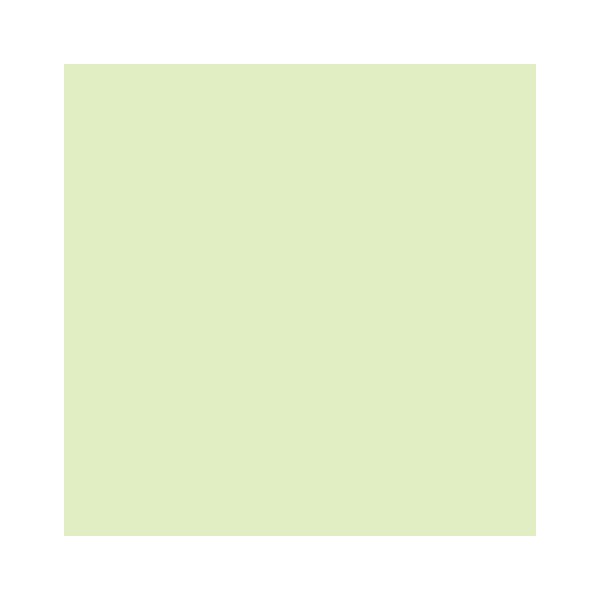 RAINBOW Papier couleur vert clair A4 160g - 1 Carton (1250 Feuilles)