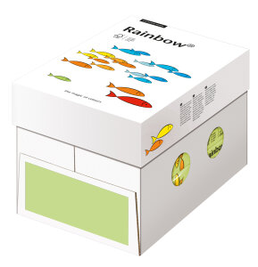 RAINBOW Papier couleur vert lumineux A4 80g - 1 Carton...