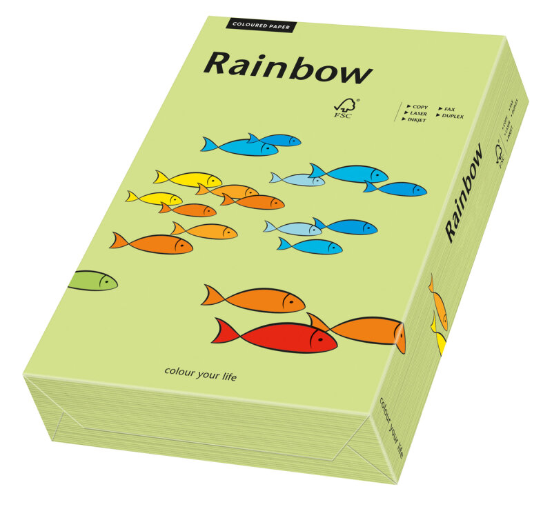 RAINBOW Farbpapier leuchtend gr&uuml;n A3 80g - 1 Karton (2500 Blatt)