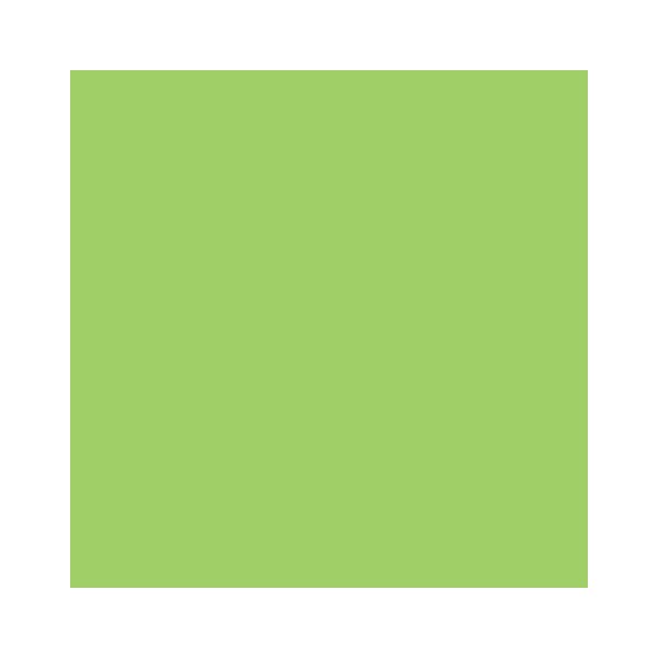RAINBOW Papier couleur vert A4 80g - 1 Carton (2500 Feuilles)