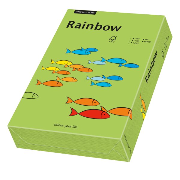RAINBOW Papier couleur vert  A4 120g - 1 Carton (1.250 Feuilles)