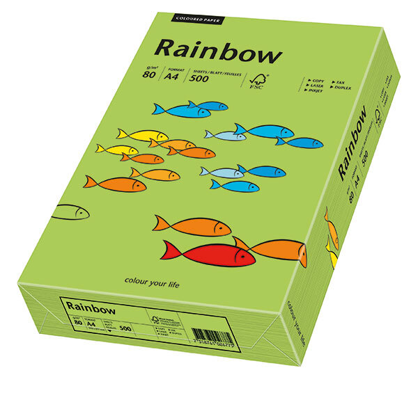 RAINBOW Farbpapier grün A4 160g - 1 Karton (1250 Blatt)