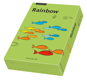 RAINBOW Farbpapier grün A4 160g - 1 Karton (1250 Blatt)