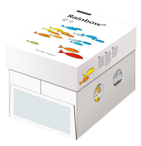 RAINBOW Farbpapier hellgrau A4 120g - 1 Karton (1250 Blatt)
