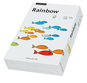 RAINBOW Farbpapier hellgrau A4 120g - 1 Karton (1250 Blatt)