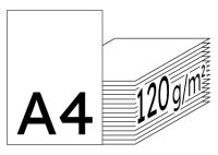 RAINBOW Farbpapier hellgrau A4 120g - 1 Karton (1250 Blatt)