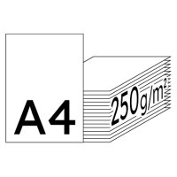 COLOR COPY Papier Laser couleur extra blanc A4 250g - 1 Palette (35000 Feuilles)