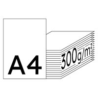 IMAGE Impact Premiumpapier hochweiss A4 300g - 1 Palette (40500 Blatt)
